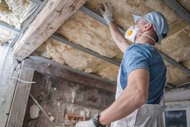 Best Crawl Space Insulation  in Magnolia Springs, AL