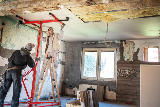 Best Insulation Contractors for Homes  in Magnolia Springs, AL