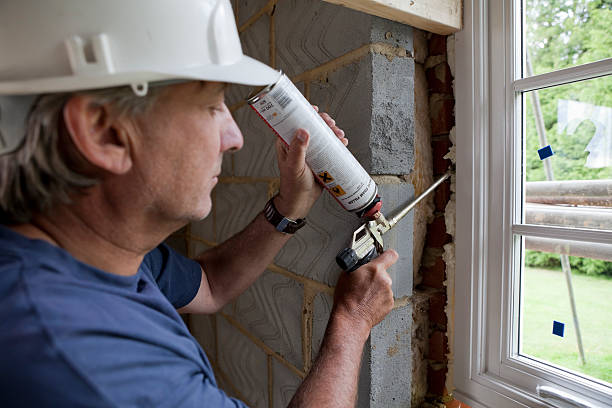Best Insulation Removal Services  in Magnolia Springs, AL